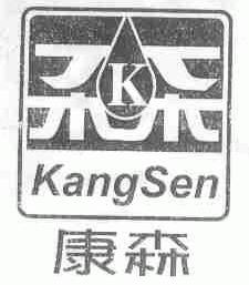 康森