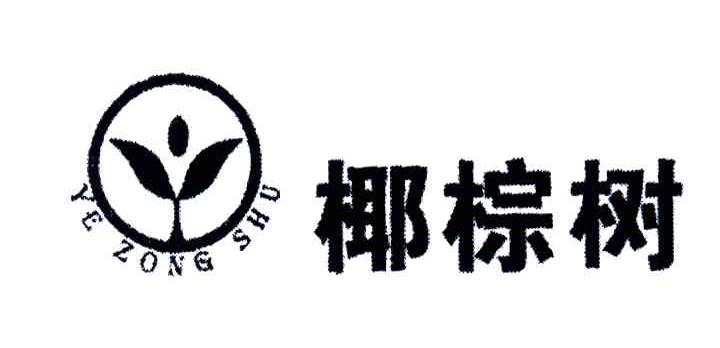 椰棕树