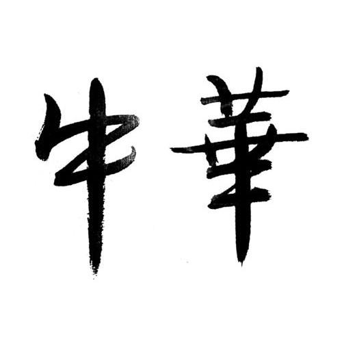 牛华