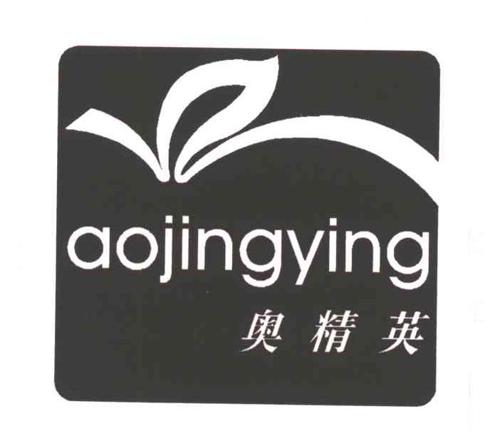 奥精英