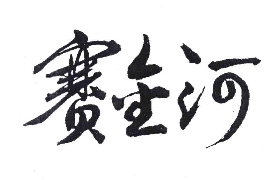 赛金河