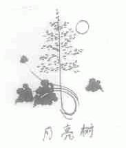月亮树