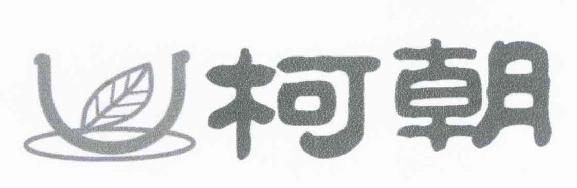 柯朝