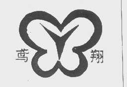 鸢翔