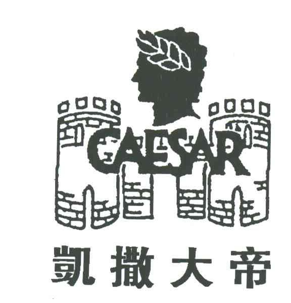 凯撒大帝CAESAR及图形