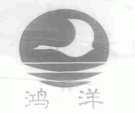 鸿洋