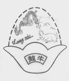 龙牛