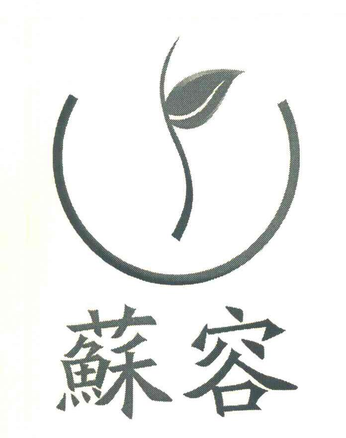 苏容