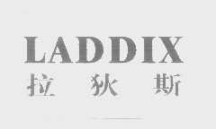 拉狄斯   LADDIX