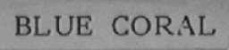 BLUE CORAL