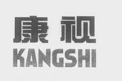 康视