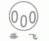 盛飞