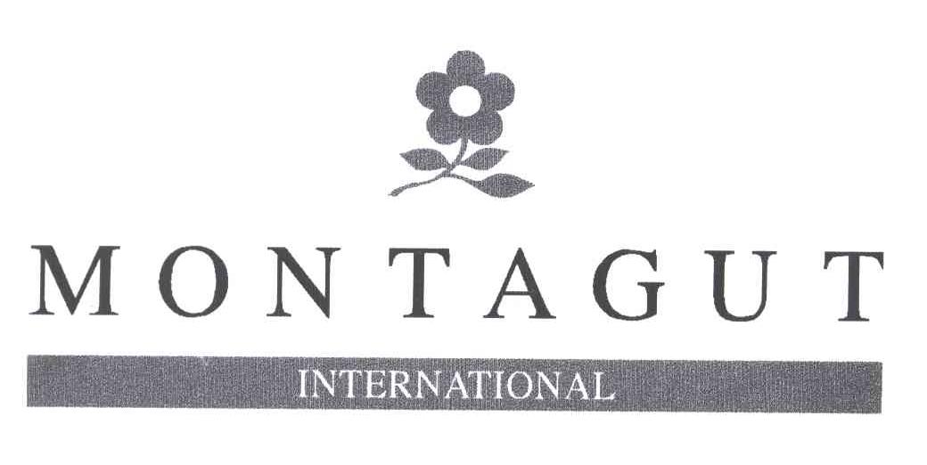 MONTAGUT INTERNATIONAL