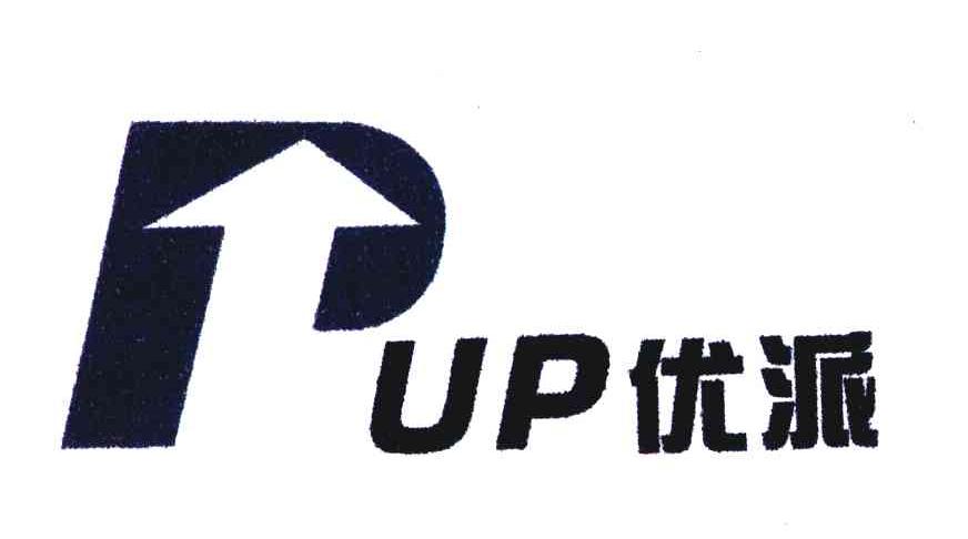 优派 PUP
