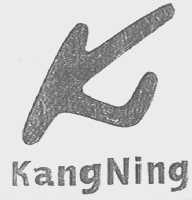 KANG NING