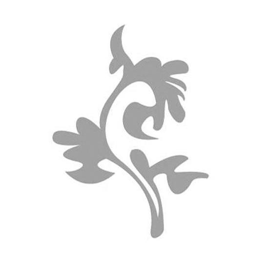 图形