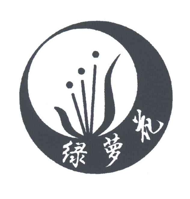 绿萝花