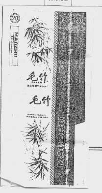毛竹