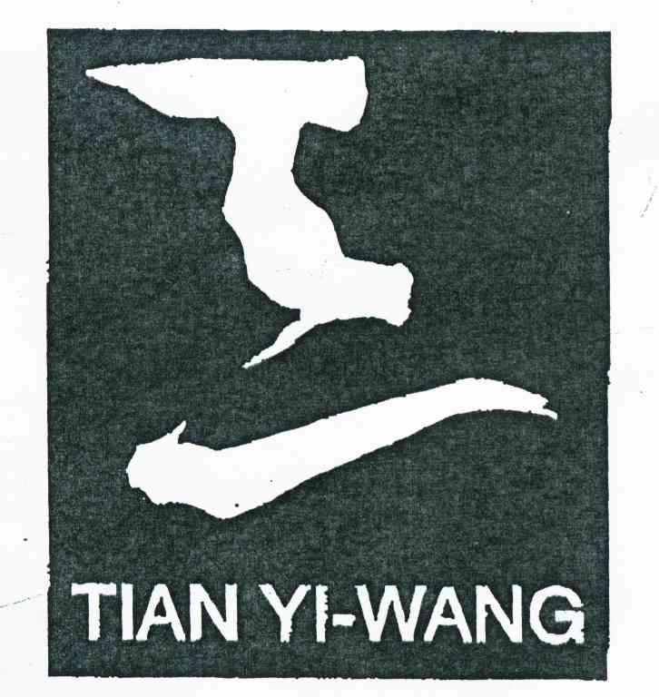 TIAN YI-WANG