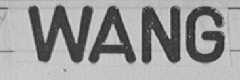 WANG