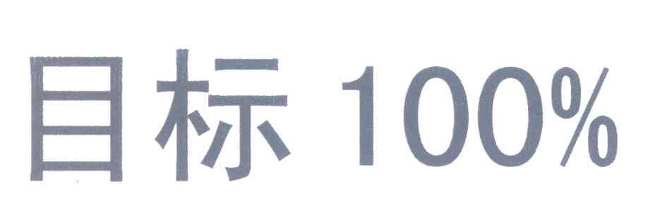 目标 100%