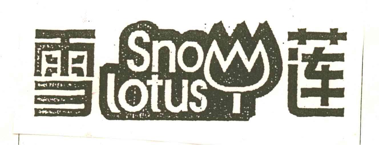 雪莲;SNOW LOTUS
