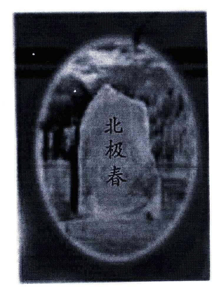 北极春