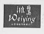 潍鹰