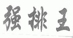强排王