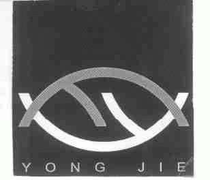 YONG JIE