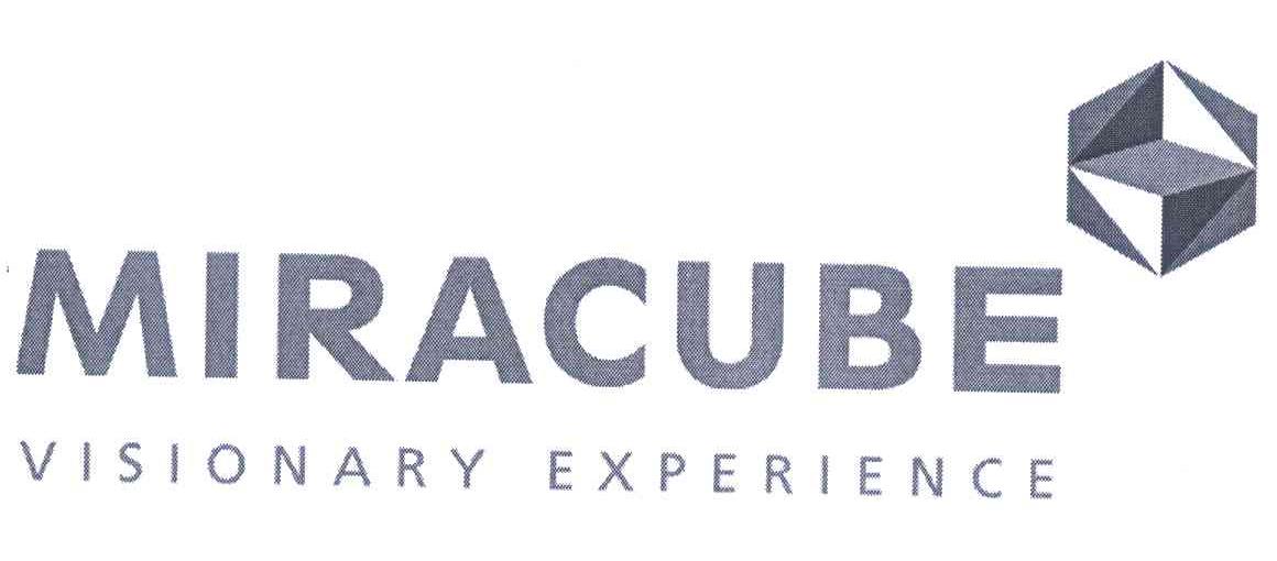 MIRACUBE VISIONARY EXPERIENCE