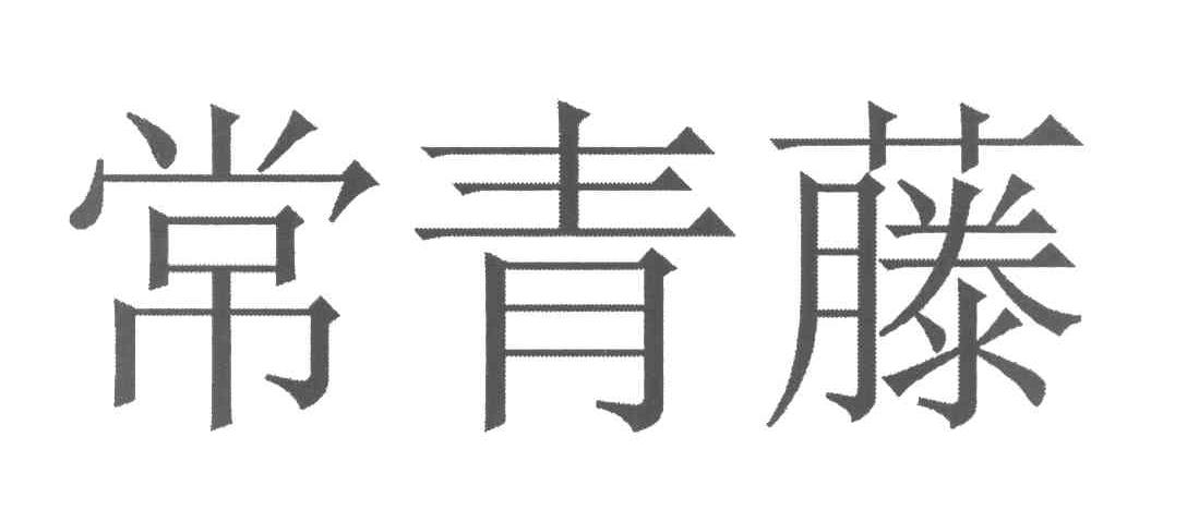 常青藤