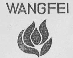 WANG FEI