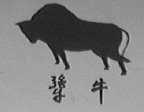 犟牛