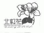 北极花