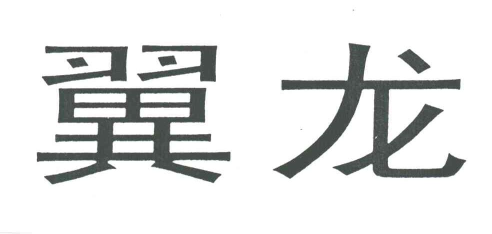 翼龙