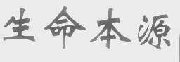 生命本源