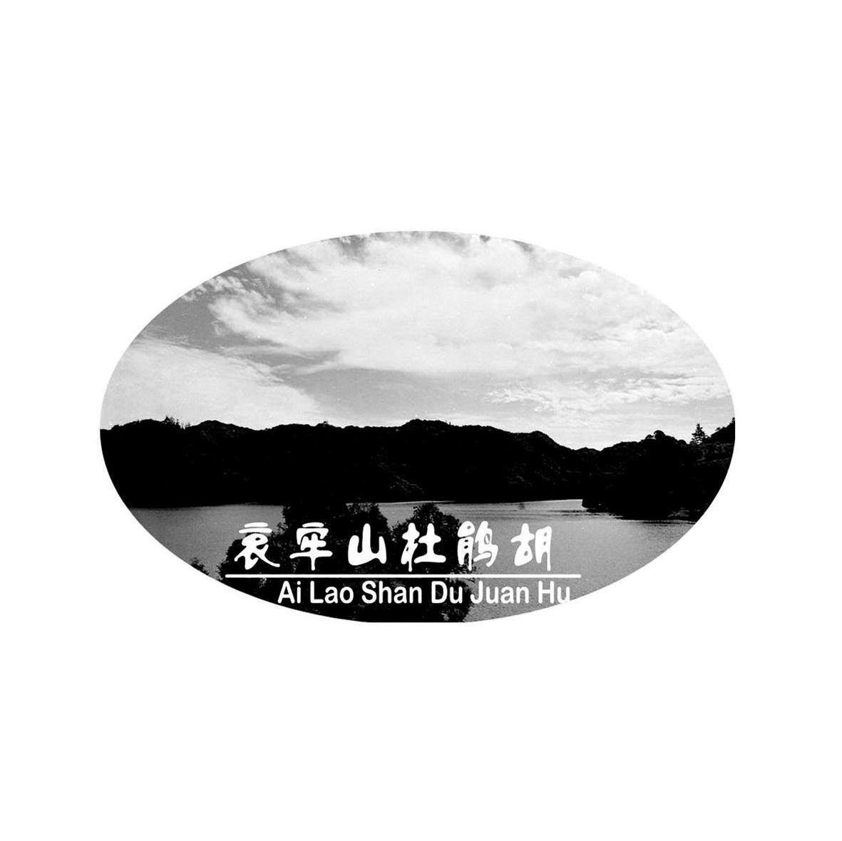 哀牢山杜鹃胡