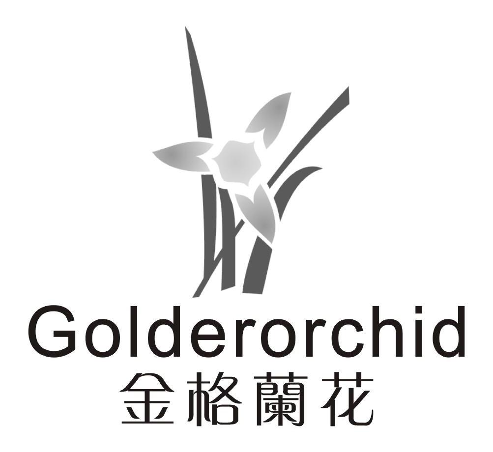 金格兰花 GOLDERORCHID
