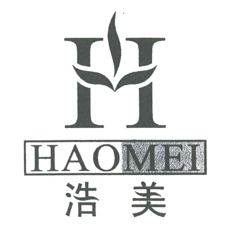 浩美;H