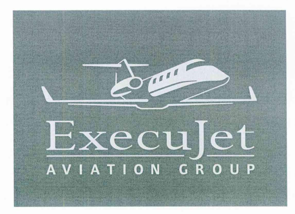 AVIATION GROUP EXECUJET