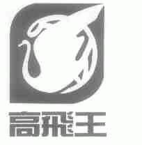 高飞王