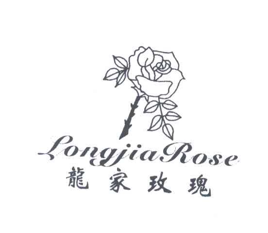 龙家玫瑰;LONGJIA ROSE