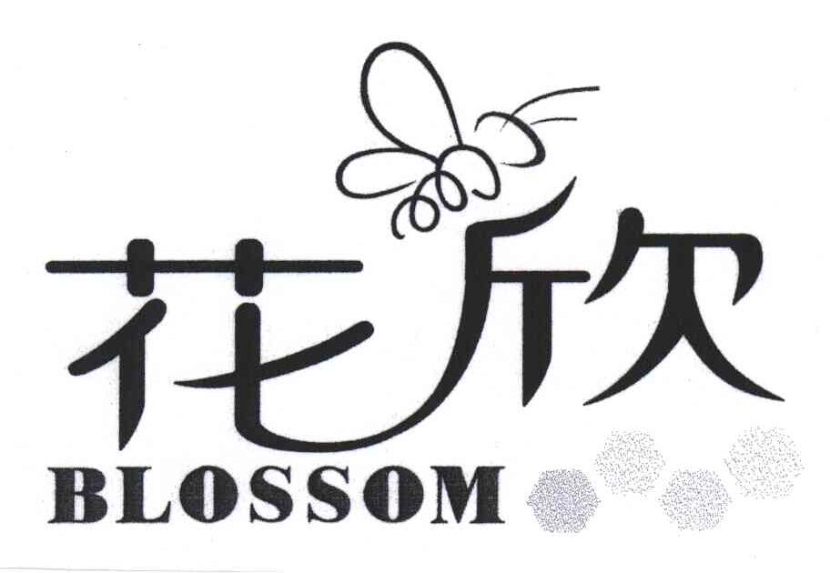 花欣;BLOSSOM