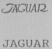 JAGUAR