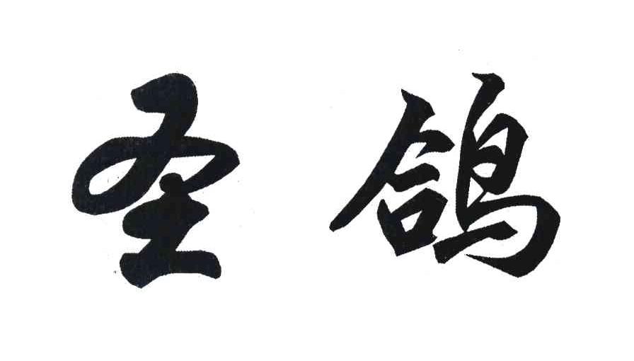 圣鸽