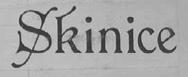 SKINICE
