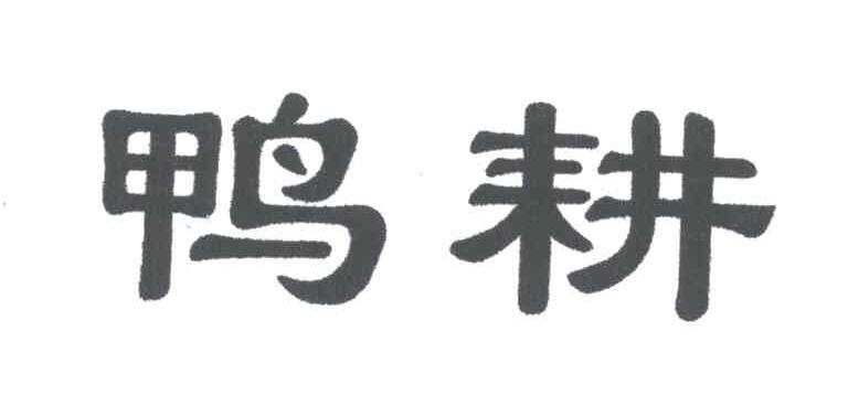 鸭耕