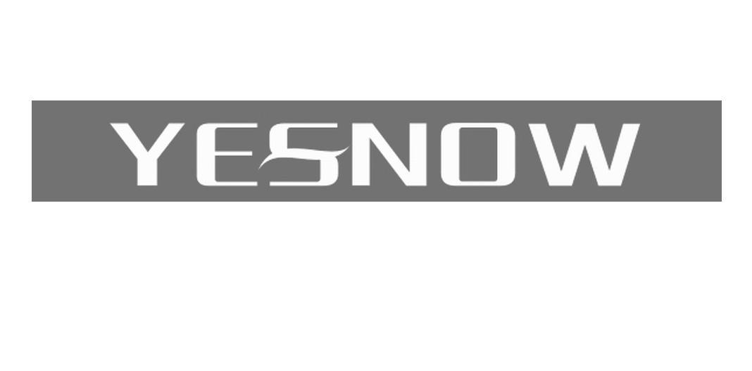 YESNOW