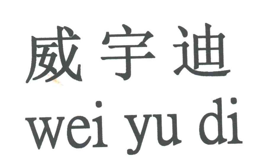 威宇迪